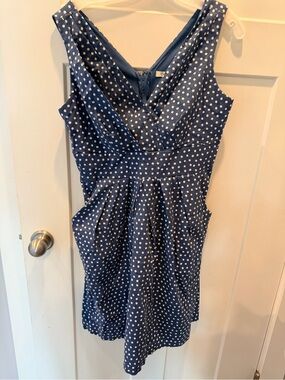 Corey P Polka Dot Dress Size 12 Blue Fit Flare Sleeveless Pleated Midi